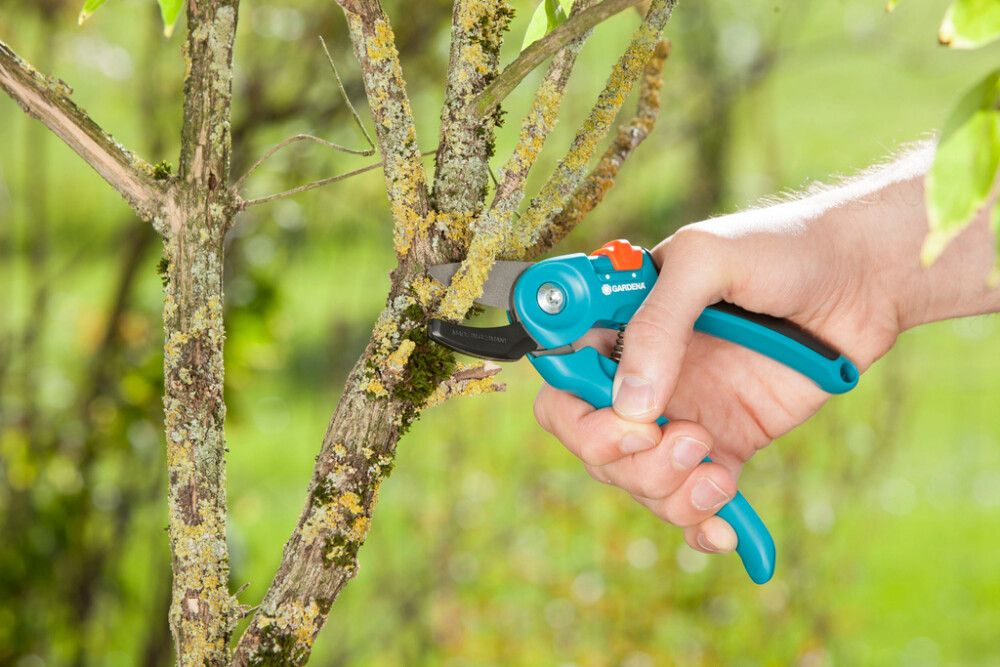 Puutarhasakset Gardena Classic alasinmalli