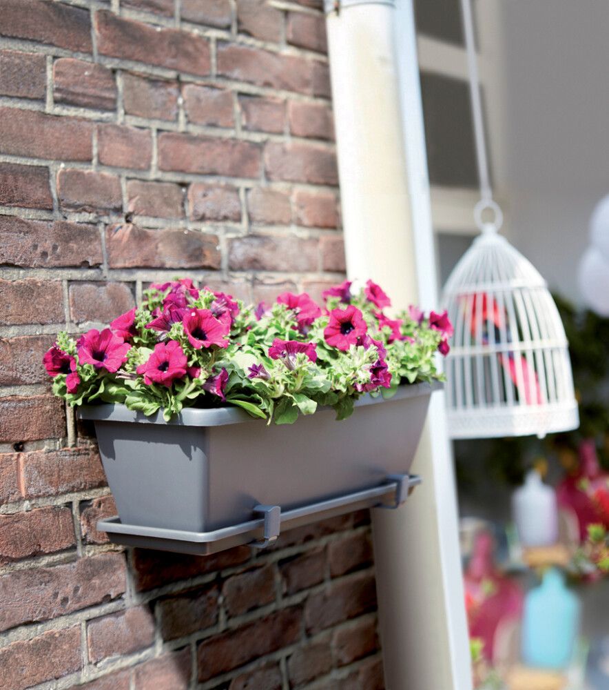 Seinäkannake Elho Barcelona parvekelaatikolle antrasiitti