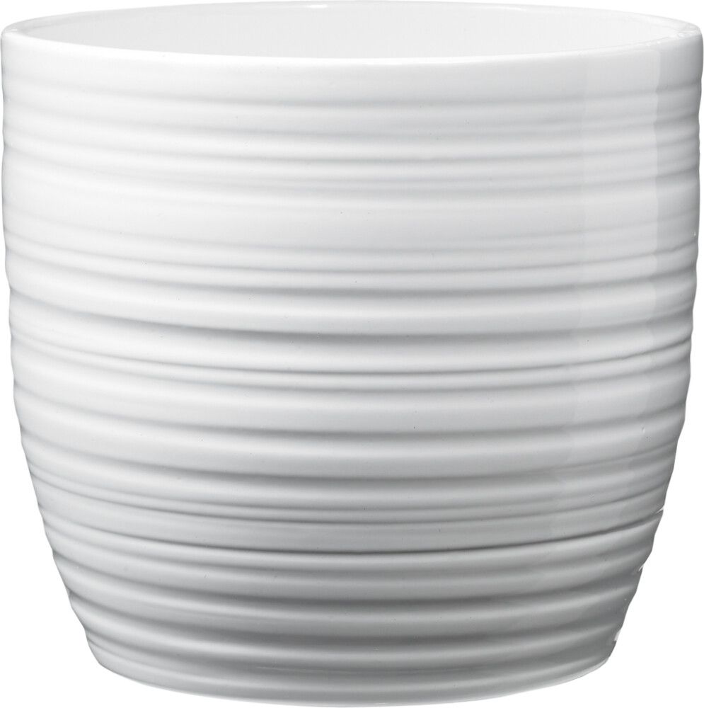 Suojaruukku Soendgen Bergamo valkoinen 19 cm