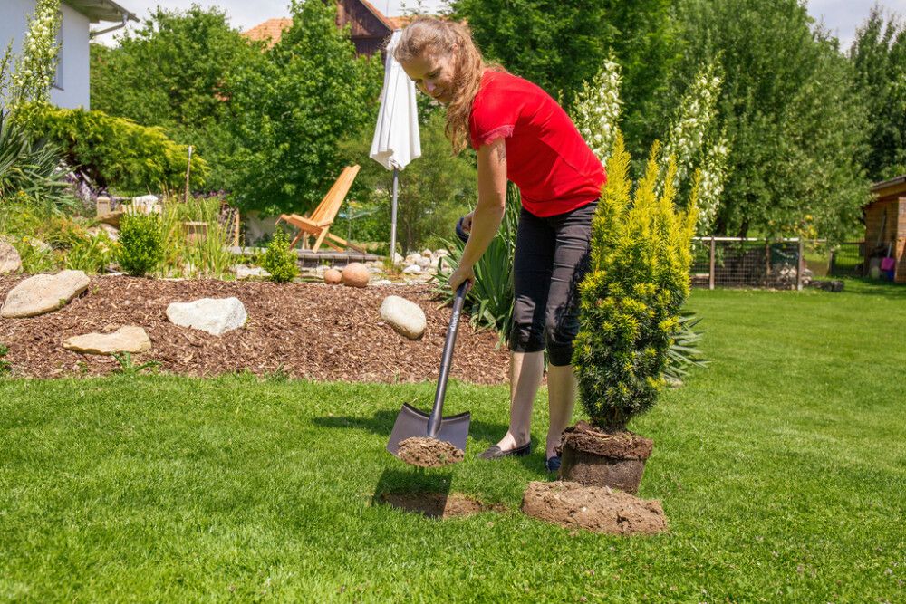 Puutarhalapio Gardol musta