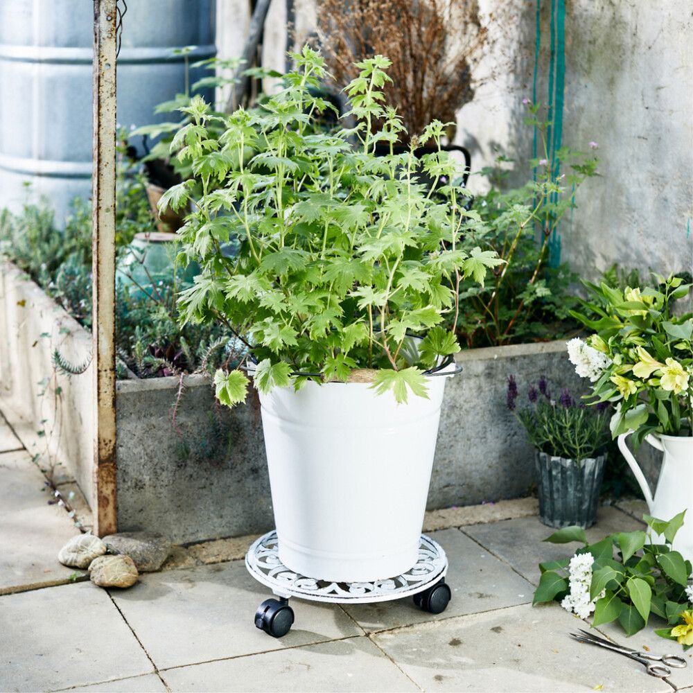 Ruukunalunen Antik 29 cm valkoinen