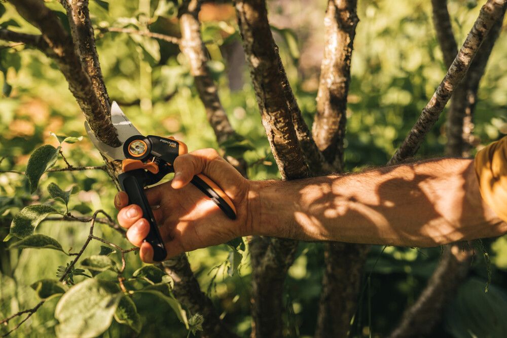 Oksasakset Fiskars L P961 ohileikkaavat