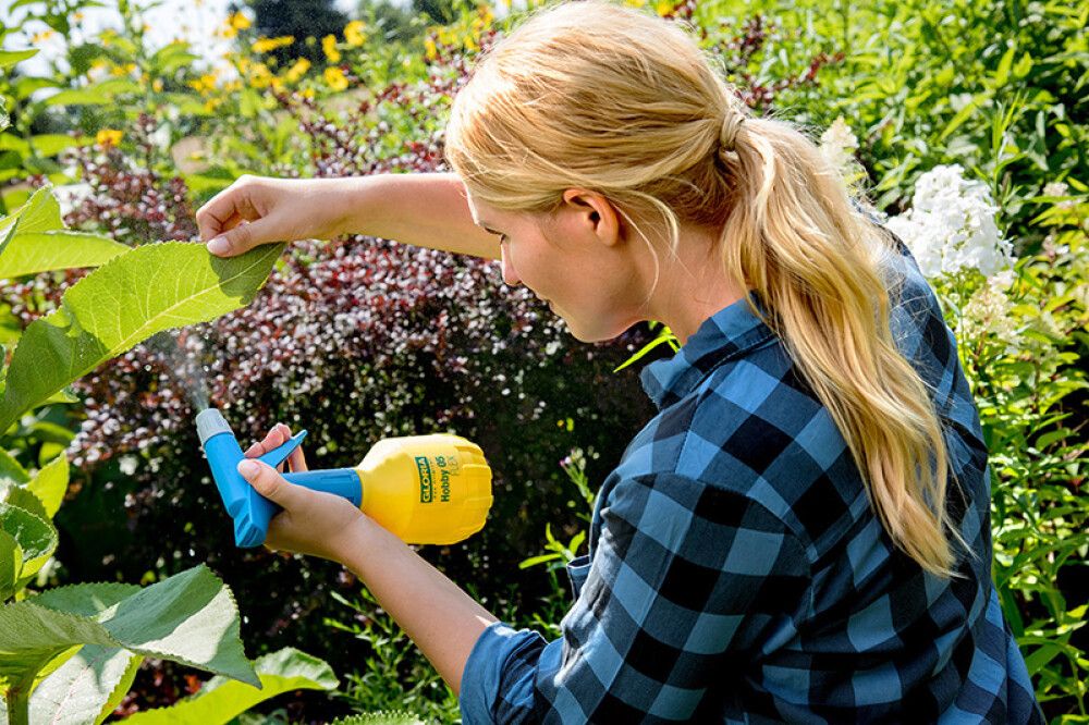 Painesumutin Gloria Hobby 05