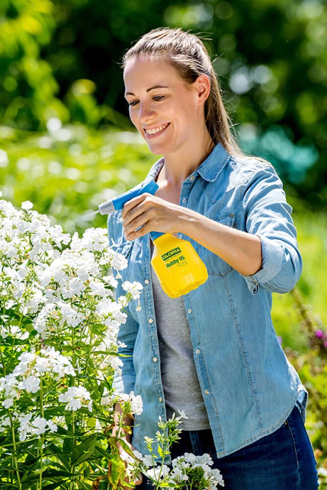 Painesumutin Gloria Hobby 05