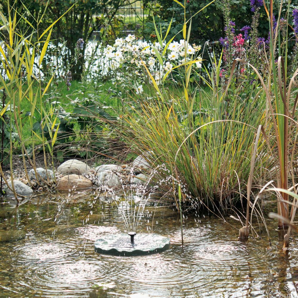 Suihkulähde Neptun kelluva