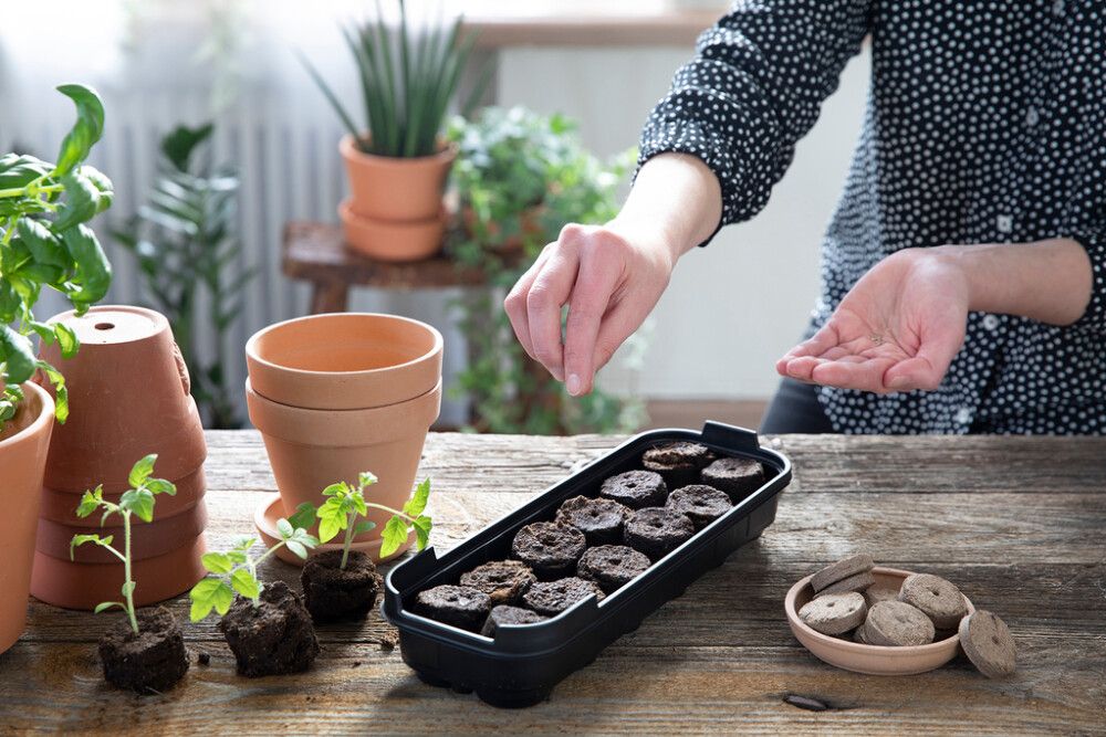 PIENOISKASVIHUONE BIOLAN