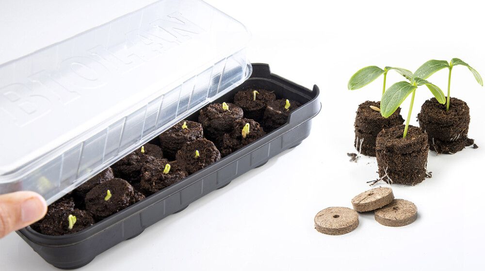 PIENOISKASVIHUONE BIOLAN