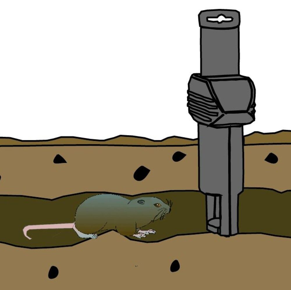 Myyränloukku SuperCat