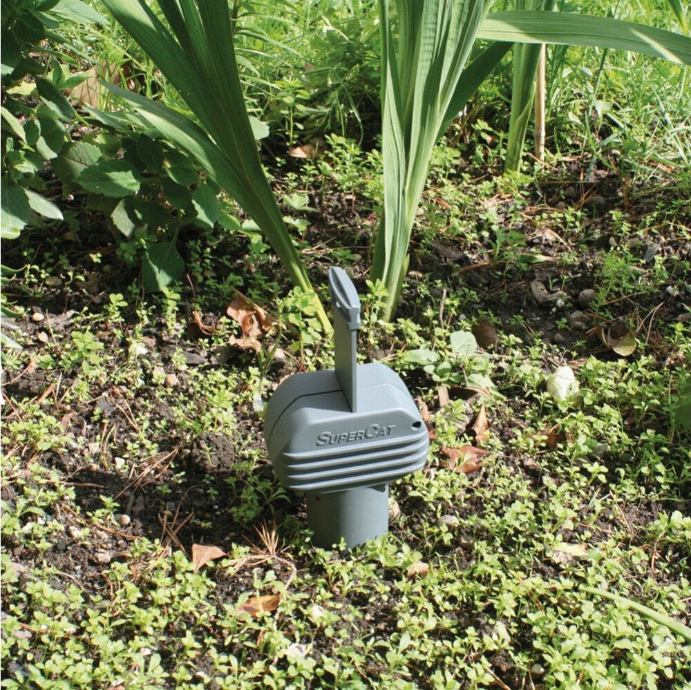 Myyränloukku SuperCat