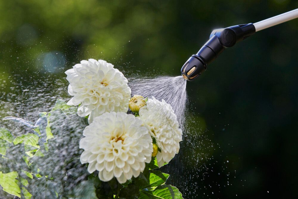 Paineruisku Gardena 5 l