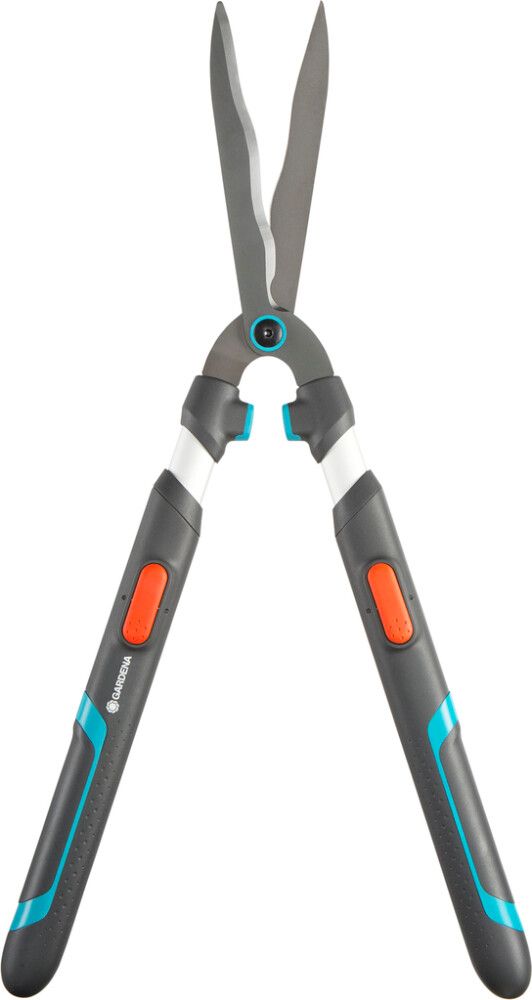Pikkukuva 5