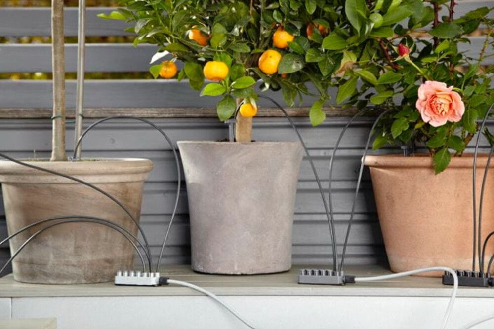 Lomakastelusarja Gardena ruukkukasveille