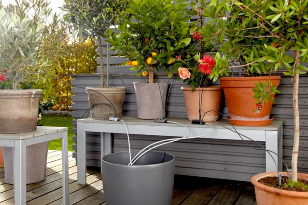 Lomakastelusarja Gardena ruukkukasveille