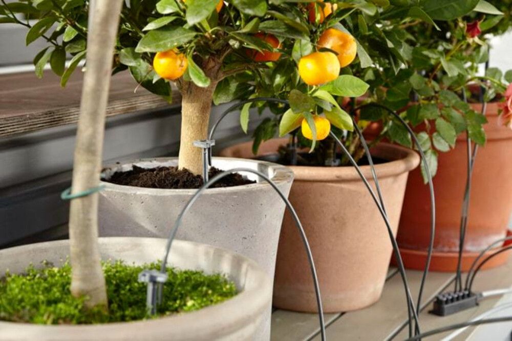 Lomakastelusarja Gardena ruukkukasveille