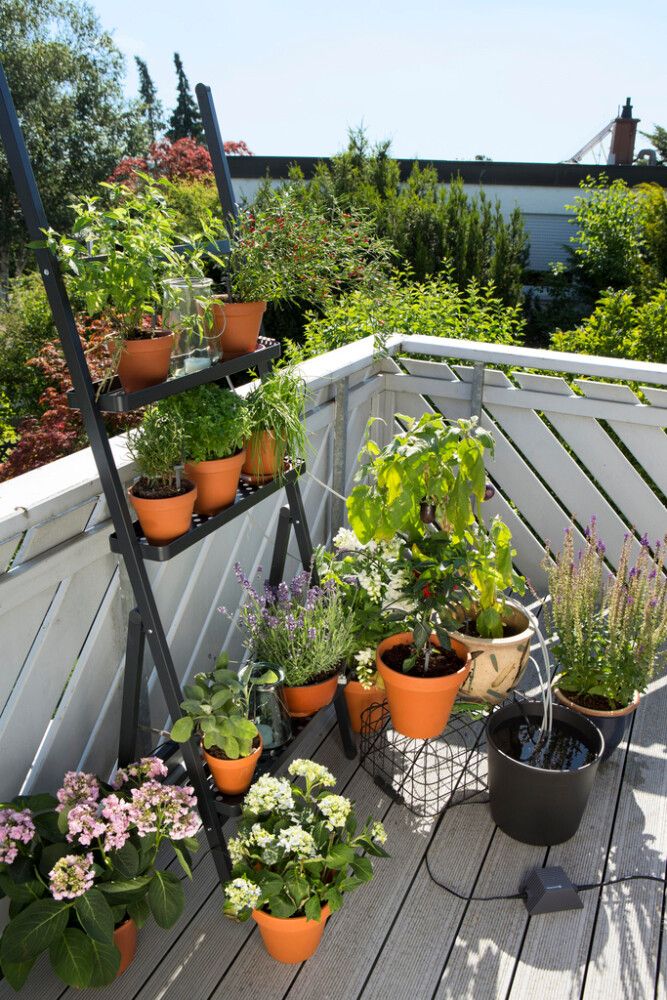 Lomakastelusarja Gardena ruukkukasveille