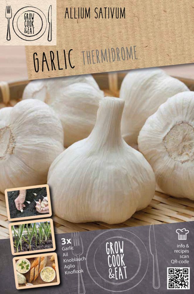 Valkosipuli Kapiteyn Thermidrome White 3 kpl