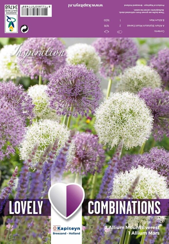 Kevätkukkasipuli Laukka Giant 3 kpl