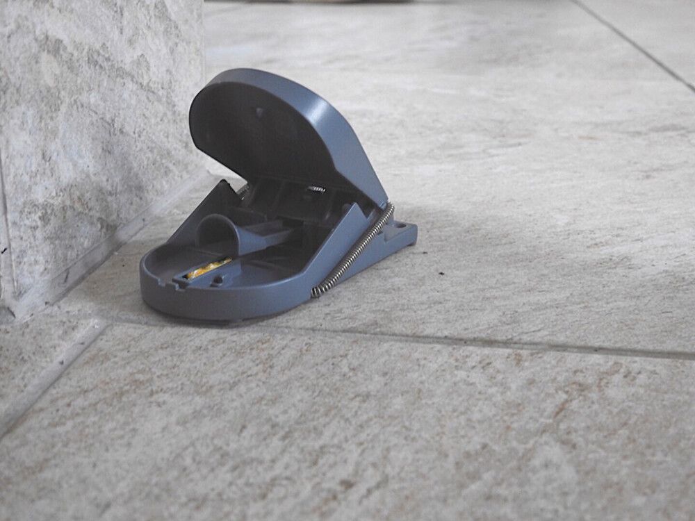 Hiirenloukku Supercat Pro 2 kpl