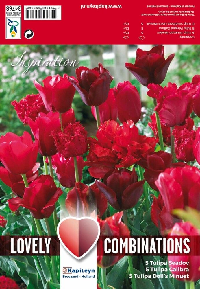 Kevätkukkasipuli Tulppaani Red Shades 15 kpl