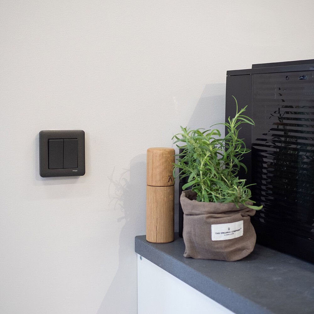 Kytkin Schneider Electric Exxact Kruunu (5) Antrasiitti