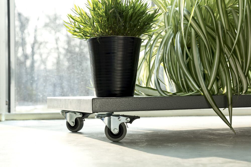 Kalustepyörä Stabilit Ø 50 x 19 mm, levy 60 x 60 mm