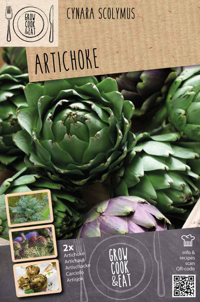 Latva-artisokka Kapiteyn Cynara Scolymu 2 kpl