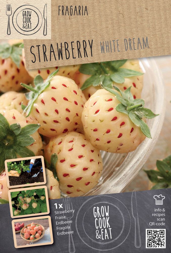 Mansikka Kapiteyn Anannasia White 1 kpl