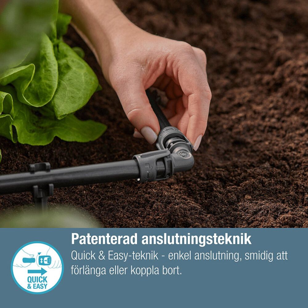 Pikkukuva 5
