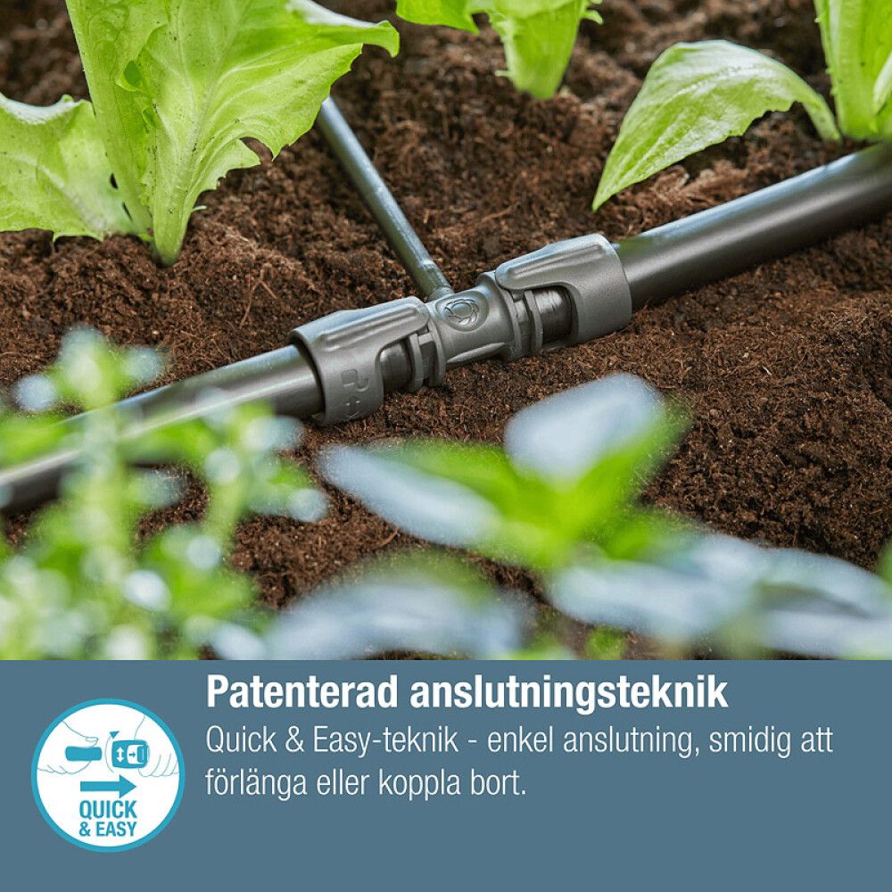 Pikkukuva 6