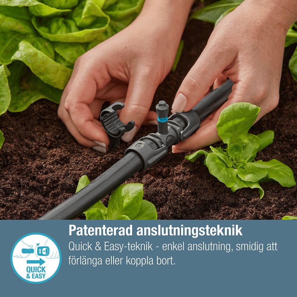 Pikkukuva 4