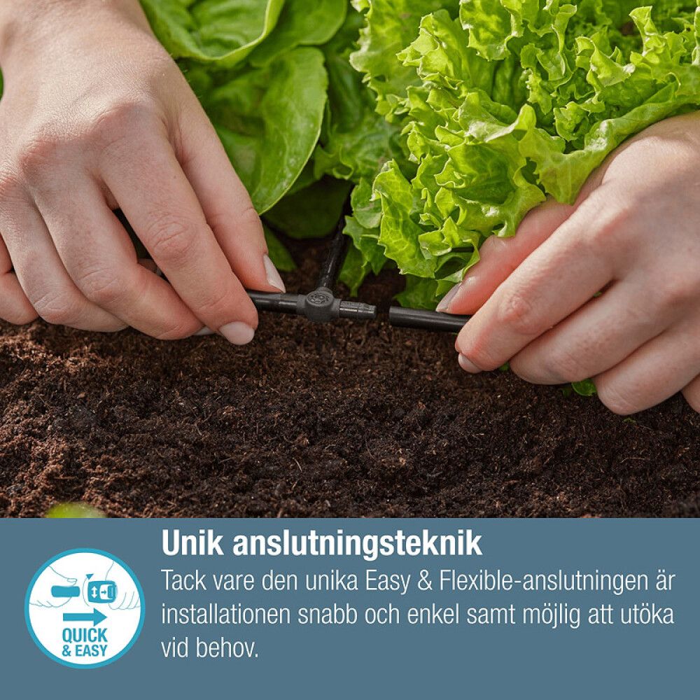 Pikkukuva 6