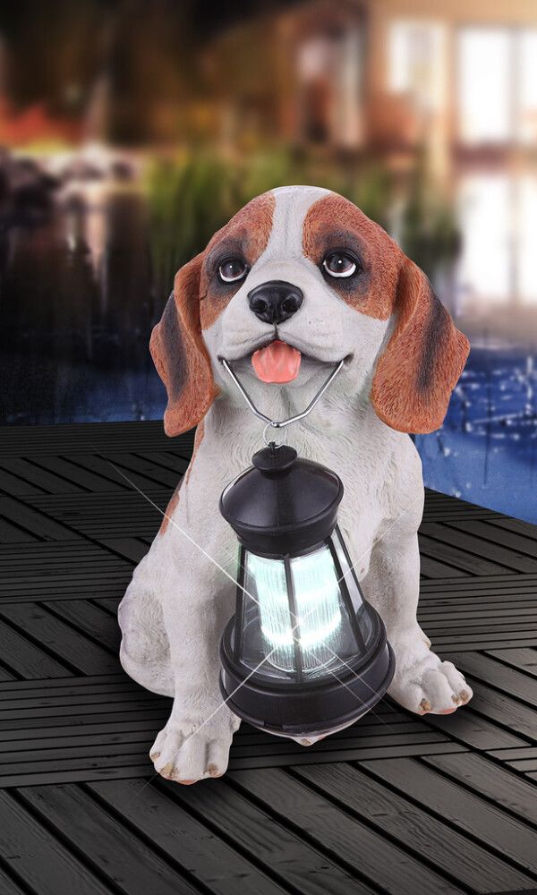 Solarvalaisin Globo Koira Lyhdyllä