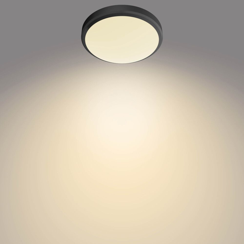 Kosteantilan Plafondi Philips Doris Musta Ø 22 cm