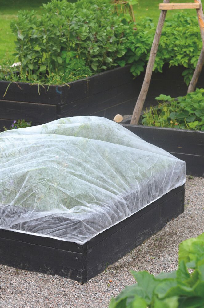 Kasvuharso lavakaulukseen 1,4 x 1,8 m