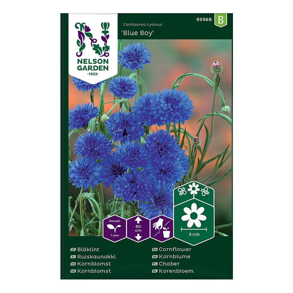 Ruiskaunokki Nelson Garden Blue Boy