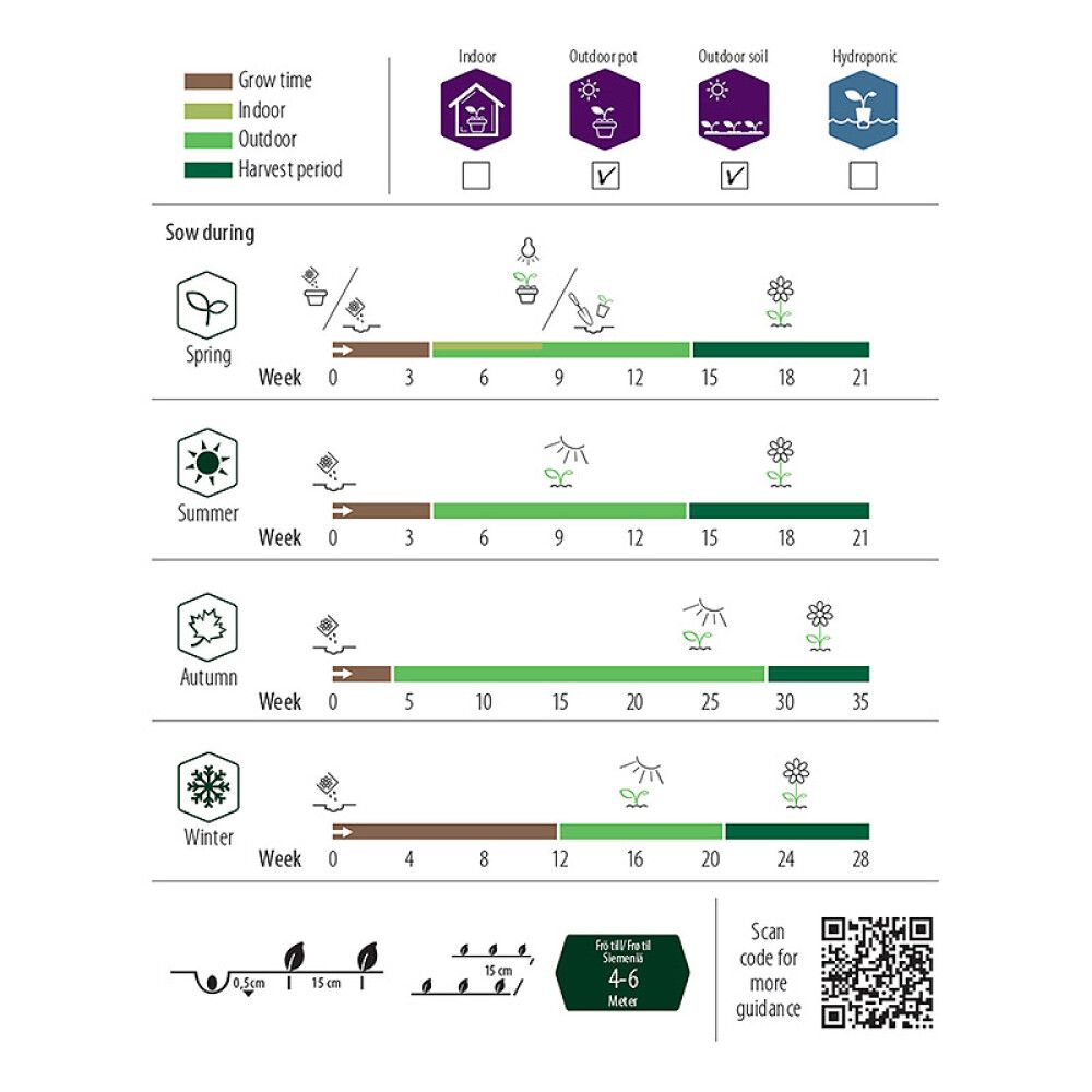 Ruiskaunokki Nelson Garden Blue Boy
