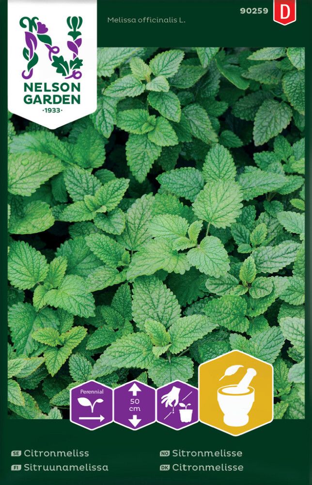 Sitruunamelissa Nelson Garden