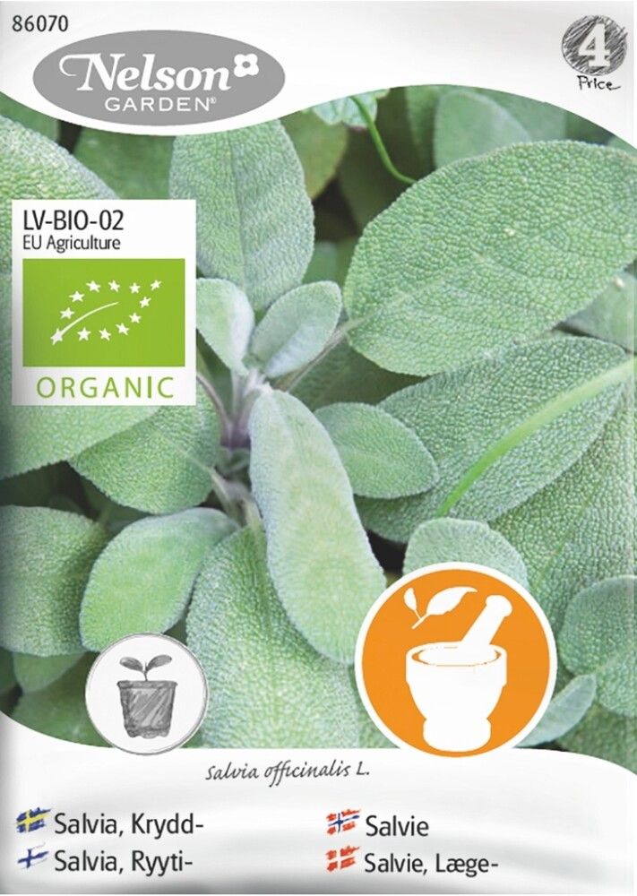 Salvia Nelson Garden