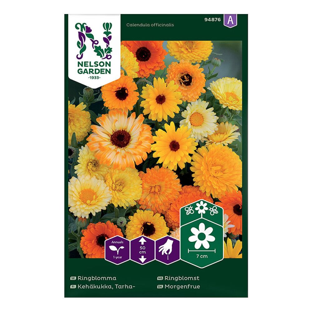 Kehäkukka Nelson Garden Tarha väriseos