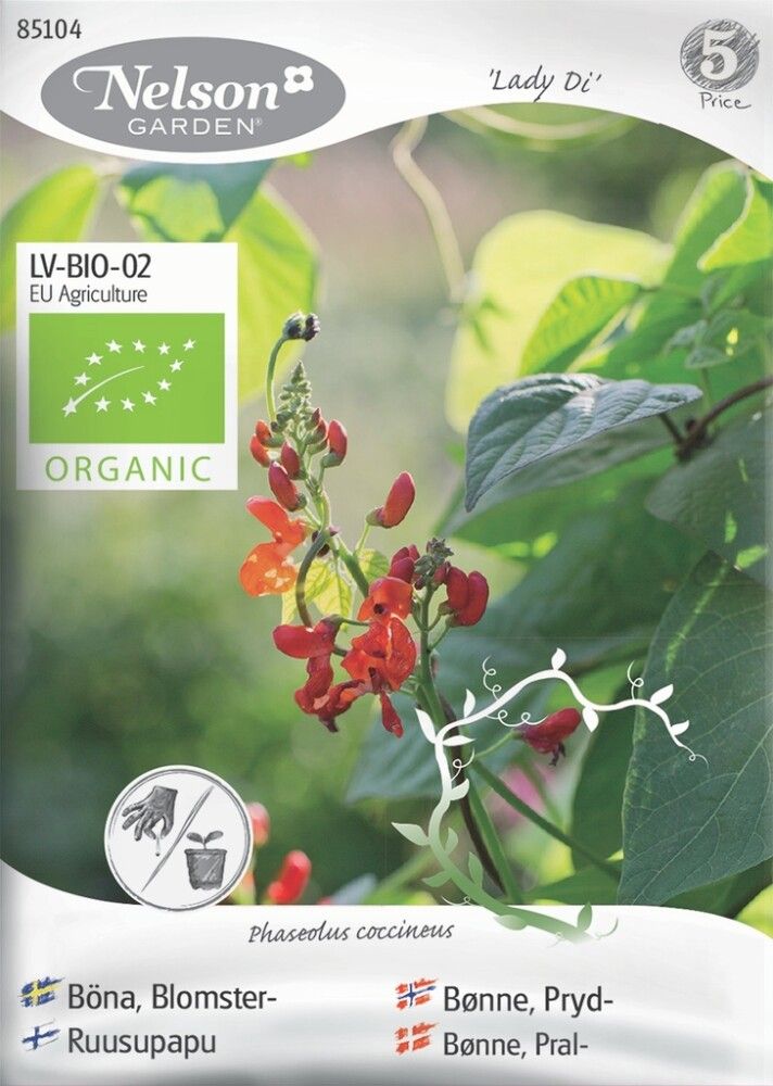 Ruusupapu Nelson Garden Lady Di