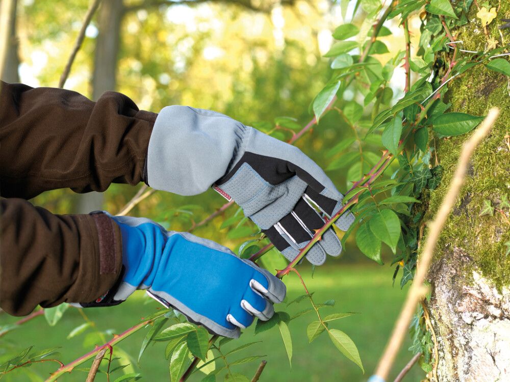 Puutarhakäsine Gardol rannesuojalla sininen koko 10
