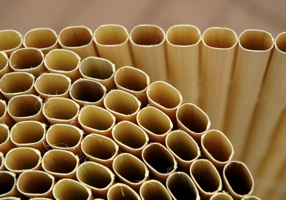 Näkösuoja bamboo 90 x 300 cm