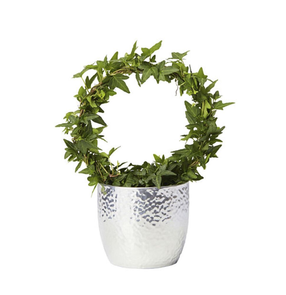 Muratti Hedera Mix P13