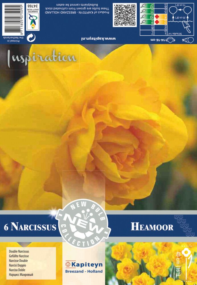 Kevätkukkasipuli Narsissi Double Heamoor 6 kpl