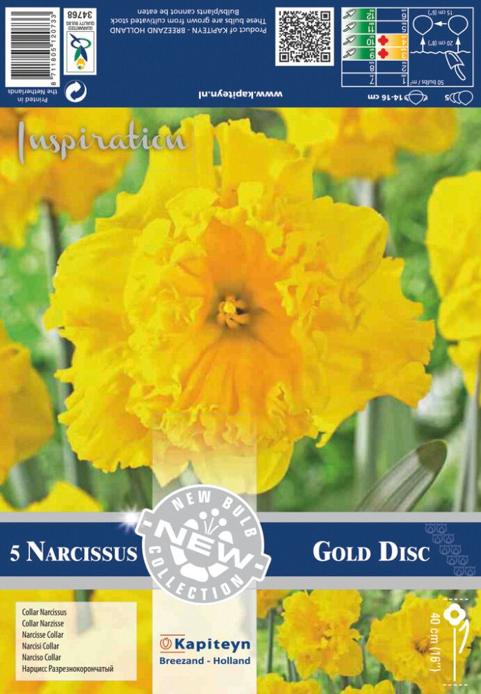Kevätkukkasipuli Narsissi Collar Gold Disc 5 kpl