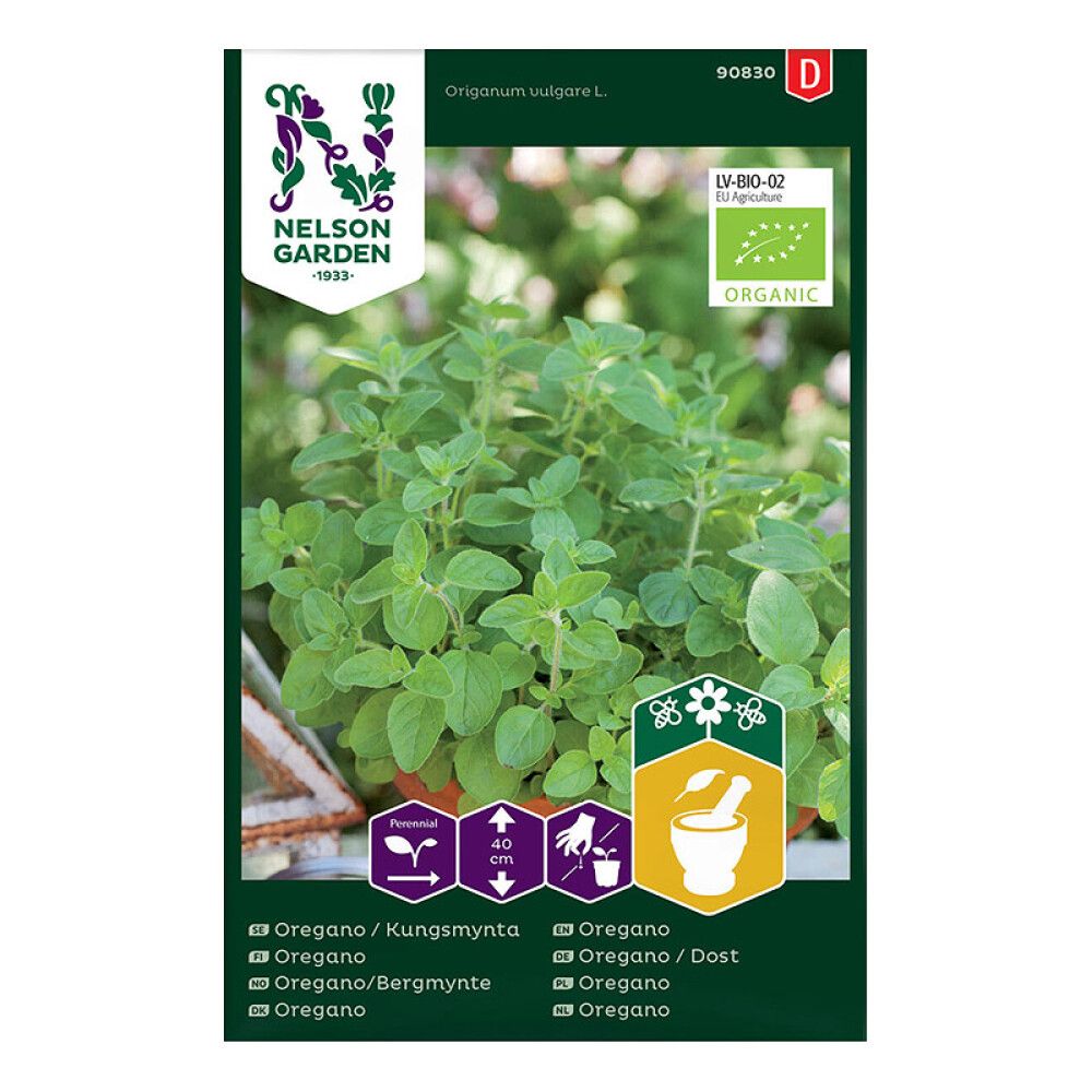 Oregano Mäkimeirami Nelson Garden