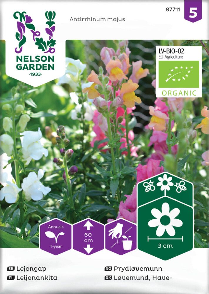 Leijonankita Nelson Garden