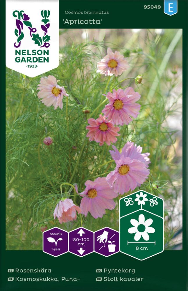 Punakosmoskukka Nelson Garden Apricotta
