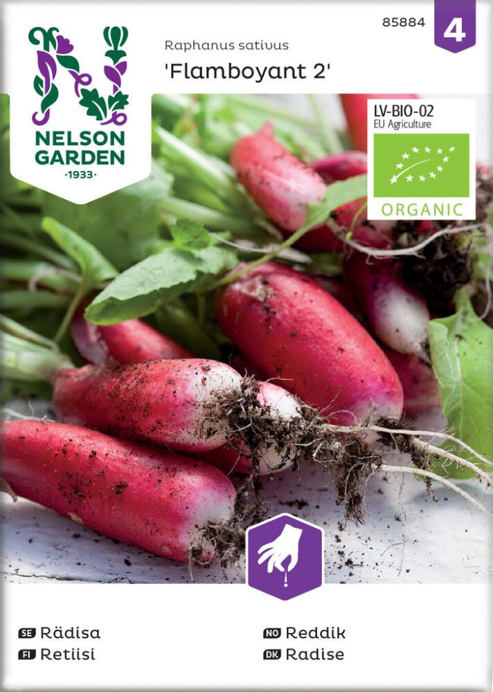 Retiisi Nelson Garden Flamboyant 2