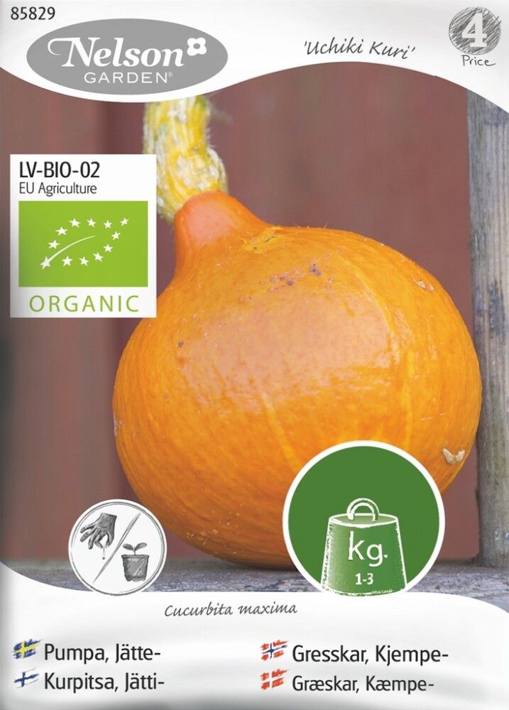Jättikurpitsa Nelson Garden Uchiki Kuri
